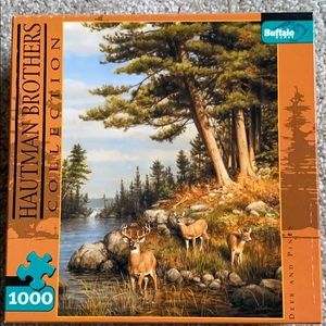 1000 piece jigsaw puzzle